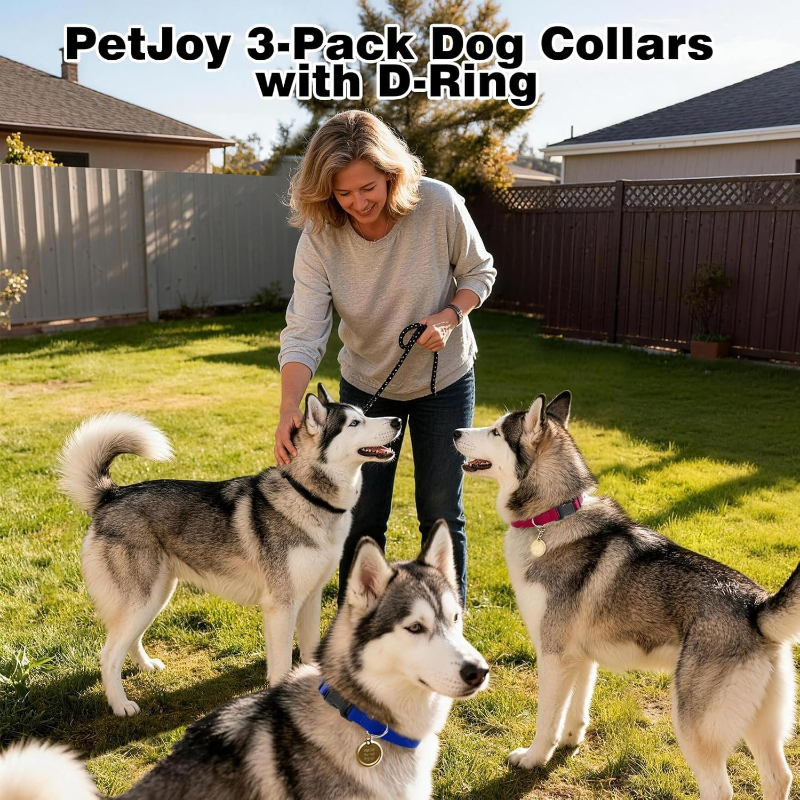 Dog Shock Collar Replacement S – обзор и цена D Ring Strap